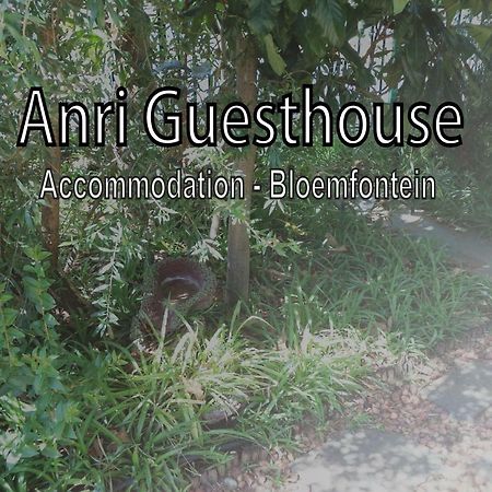 Anri Guesthouse Блумфонтейн Экстерьер фото